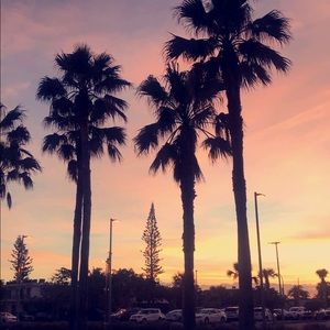 Meet your Posher, Carrie